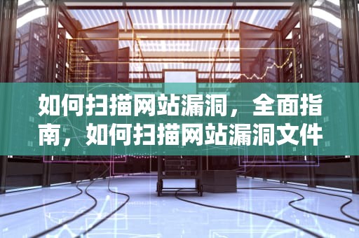 如何扫描网站漏洞，全面指南，如何扫描网站漏洞文件