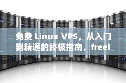 免费 Linux VPS，从入门到精通的终极指南，freelinuxvpsserver