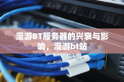 漫游BT服务器的兴衰与影响，漫游bt站
