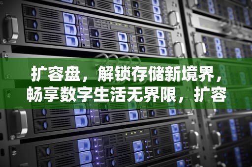 扩容盘，解锁存储新境界，畅享数字生活无界限，扩容盘是什么意思