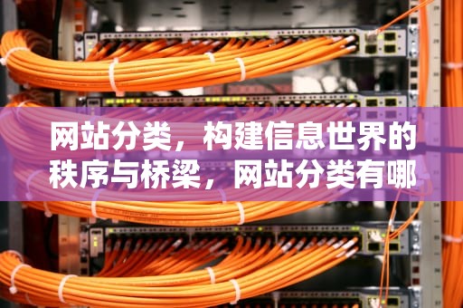 网站分类，构建信息世界的秩序与桥梁，网站分类有哪几类