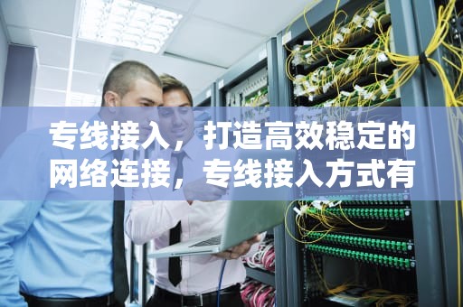 专线接入，打造高效稳定的网络连接，专线接入方式有哪几种