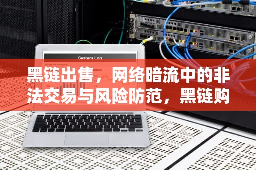 黑链出售，网络暗流中的非法交易与风险防范，黑链购买