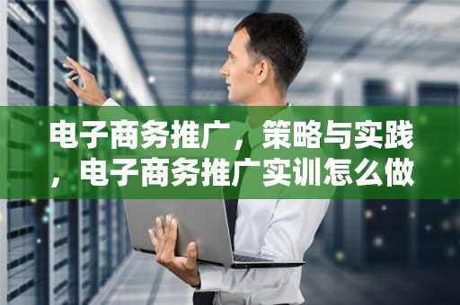 电子商务推广，策略与实践，电子商务推广实训怎么做