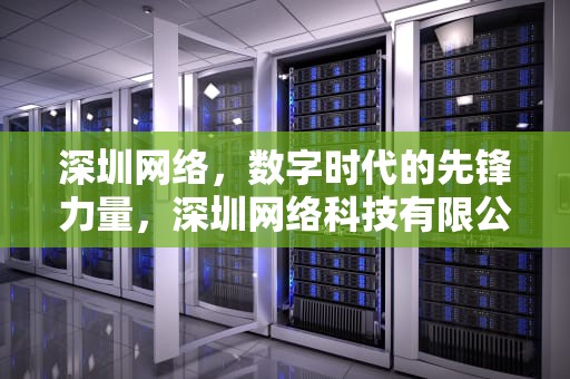 深圳网络，数字时代的先锋力量，深圳网络科技有限公司