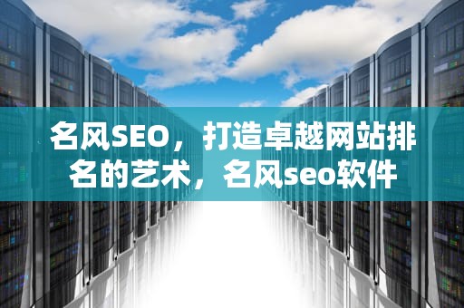 名风SEO，打造卓越网站排名的艺术，名风seo软件