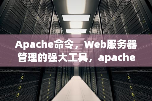 Apache命令，Web服务器管理的强大工具，apache命令注入漏洞
