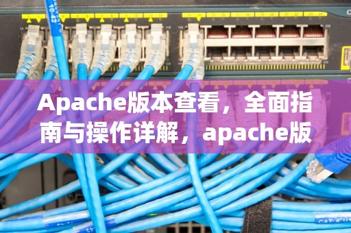 Apache版本查看，全面指南与操作详解，apache版本怎么看