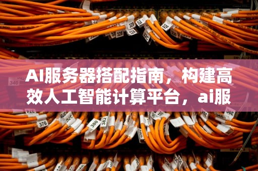 AI服务器搭配指南，构建高效人工智能计算平台，ai服务器配置