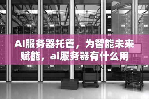 AI服务器托管，为智能未来赋能，ai服务器有什么用