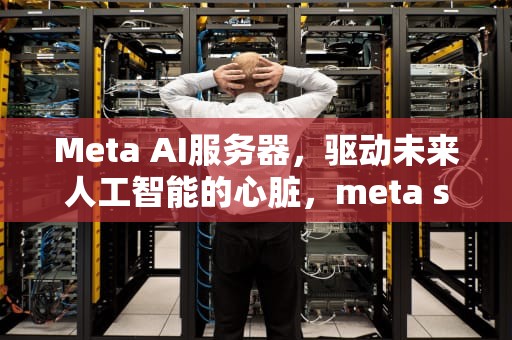 Meta AI服务器，驱动未来人工智能的心脏，meta server