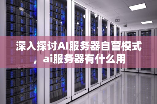 深入探讨AI服务器自营模式，ai服务器有什么用