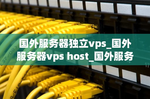 国外服务器独立vps_国外服务器vps host_国外服务器独立VPS的优势与选择