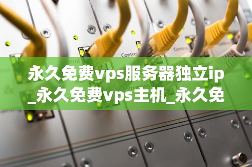 永久免费vps服务器独立ip_永久免费vps主机_永久免费VPS服务器独立IP的探索与应用