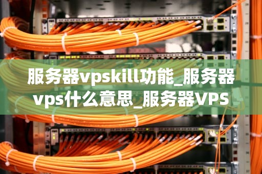 服务器vpskill功能_服务器vps什么意思_服务器VPS技能的深度解析
