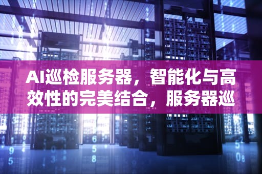 AI巡检服务器，智能化与高效性的完美结合，服务器巡检工具