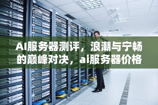 AI服务器测评，浪潮与宁畅的巅峰对决，ai服务器价格