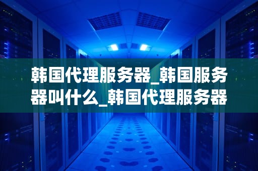 韩国代理服务器_韩国服务器叫什么_韩国代理服务器的深度解析