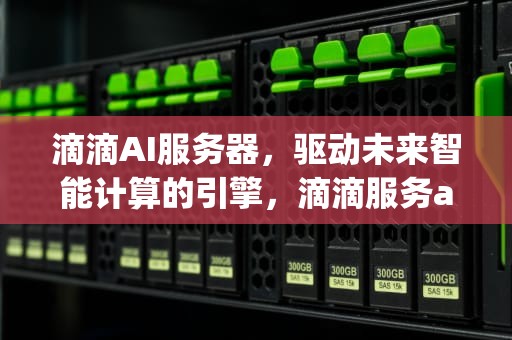 滴滴AI服务器，驱动未来智能计算的引擎，滴滴服务app