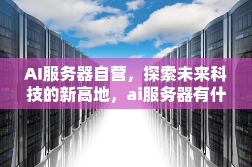 AI服务器自营，探索未来科技的新高地，ai服务器有什么用
