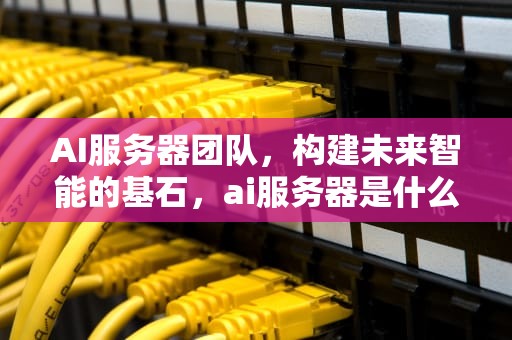AI服务器团队，构建未来智能的基石，ai服务器是什么架构