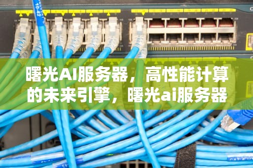 曙光AI服务器，高性能计算的未来引擎，曙光ai服务器价格