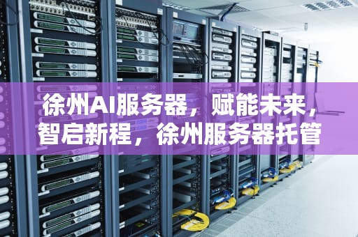 徐州AI服务器，赋能未来，智启新程，徐州服务器托管