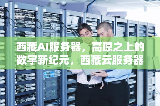 西藏AI服务器，高原之上的数字新纪元，西藏云服务器