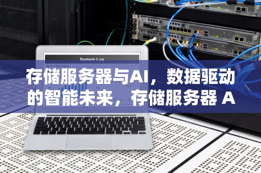 存储服务器与AI，数据驱动的智能未来，存储服务器 ACE FLIGHTTM 4600