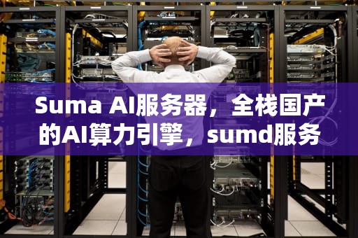 Suma AI服务器，全栈国产的AI算力引擎，sumd服务器