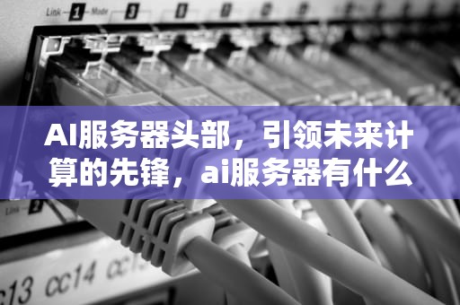 AI服务器头部，引领未来计算的先锋，ai服务器有什么用