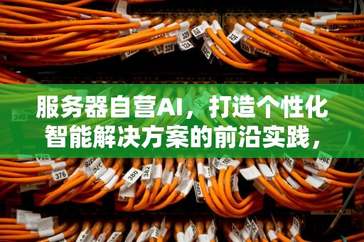服务器自营AI，打造个性化智能解决方案的前沿实践，自购服务器