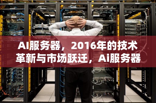 AI服务器，2016年的技术革新与市场跃迁，Ai服务器是什么