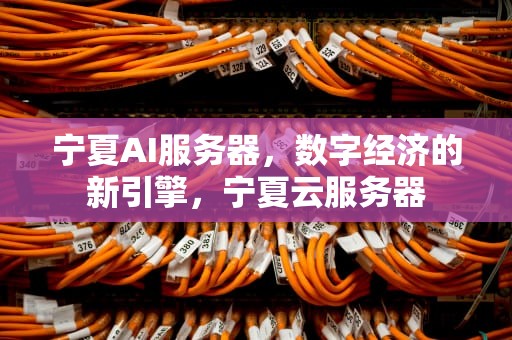 宁夏AI服务器，数字经济的新引擎，宁夏云服务器