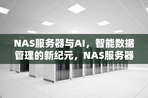 NAS服务器与AI，智能数据管理的新纪元，NAS服务器软件