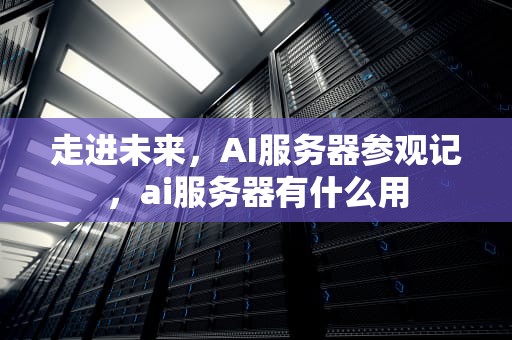 走进未来，AI服务器参观记，ai服务器有什么用