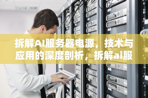 拆解AI服务器电源，技术与应用的深度剖析，拆解ai服务器电源教程
