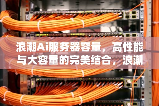 浪潮Ai服务器容量，高性能与大容量的完美结合，浪潮ai服务器容量多大
