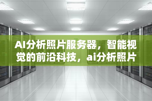 AI分析照片服务器，智能视觉的前沿科技，ai分析照片服务器怎么用