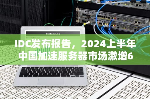 IDC发布报告，2024上半年中国加速服务器市场激增63%，idc发布全球ai服务器市场数据,中国厂商成头部玩家