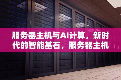 服务器主机与AI计算，新时代的智能基石，服务器主机ai计算软件
