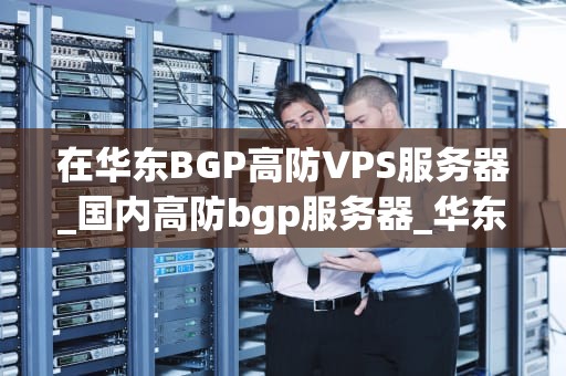 在华东BGP高防VPS服务器_国内高防bgp服务器_华东BGP高防VPS服务器的优势与应用
