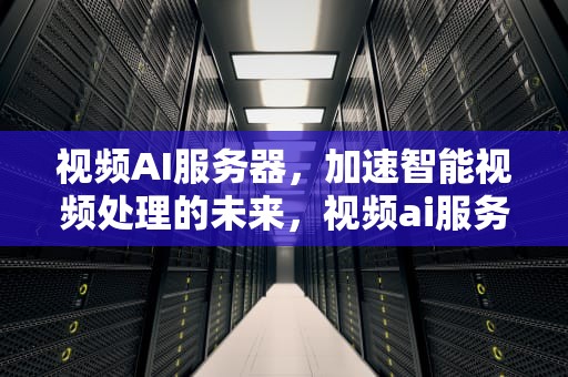 视频AI服务器，加速智能视频处理的未来，视频ai服务器 加速软件
