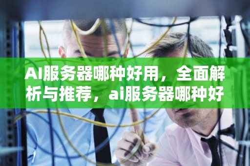 AI服务器哪种好用，全面解析与推荐，ai服务器哪种好用一点