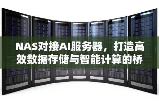 NAS对接AI服务器，打造高效数据存储与智能计算的桥梁，nas接入服务器