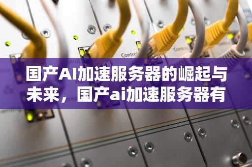 国产AI加速服务器的崛起与未来，国产ai加速服务器有哪些