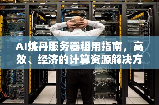 AI炼丹服务器租用指南，高效、经济的计算资源解决方案