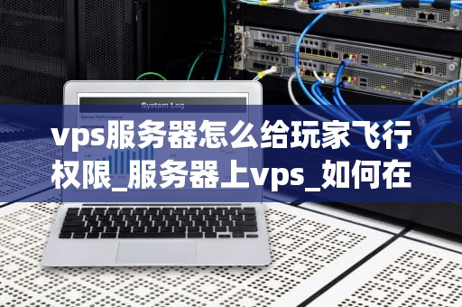 vps服务器怎么给玩家飞行权限_服务器上vps_如何在VPS服务器上赋予玩家飞行权限