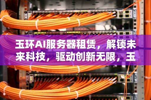 玉环AI服务器租赁，解锁未来科技，驱动创新无限，玉环ai服务器租赁公司