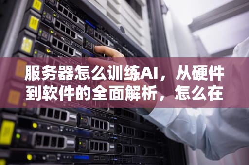 服务器怎么训练AI，从硬件到软件的全面解析，怎么在服务器上训练模型